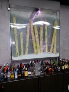 ΔΙΑΚΟΣΜΗΤΙΚΟ ΚΟΥΤΙ BAR VITRINE B