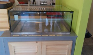 image-7c96e322b32f05fb46c56df690d6e586655c595b909460726cc6cc1b959046cb-V