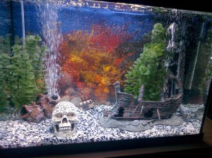 SAMSUNG GALAXY S3 1127